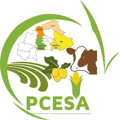 Logo PCESA